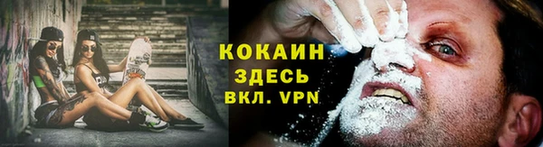 PSILOCYBIN Верея