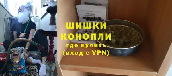 PSILOCYBIN Верея
