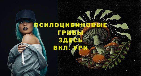 ALPHA-PVP Верхний Тагил