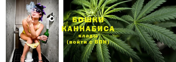 PSILOCYBIN Верея