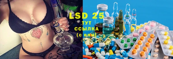 PSILOCYBIN Верея